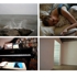 Grid4_2008