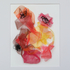 20111212050108-safransky_mara_chromaform001