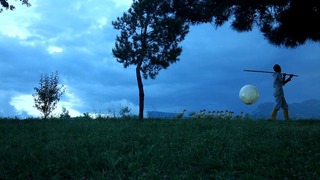 Moon Goose Colony,Agnes Meyer-Brandis