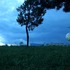 20111108091352-agnes_and_moon_geese