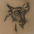20120627140839-3_bulls_max
