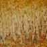 20111109170904-autumn_near_mad_creek