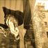 20111110074131-maiden_of_berlin