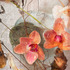 20111110103041-018_matrice