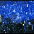 David_phillips_narcotic-american-night