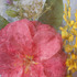 20111110104131-032_matrice