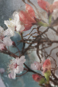 20111110105853-105_8x12