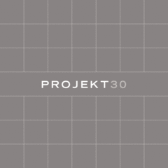 Art Gallery: Projekt30,