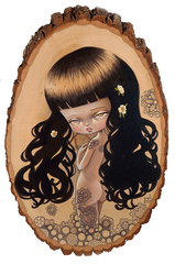 Wrapped in Lace,Kukula