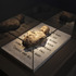 20111111013643-transience_a