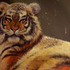 20111111021654-tiger_in_snow