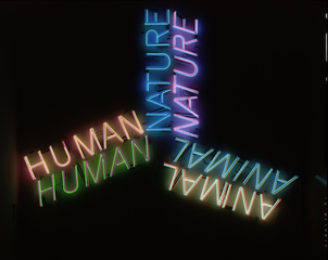 ,Bruce Nauman