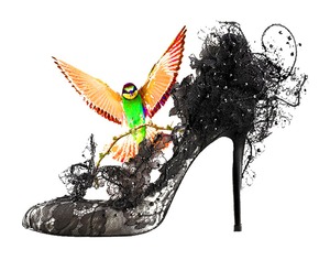 20111112181840-shoe