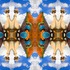 20111112182716-whatdoyouseew