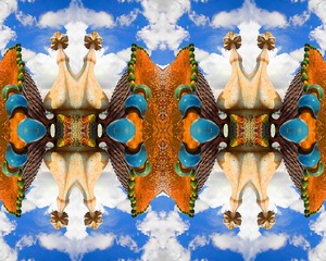 20111112182716-whatdoyouseew