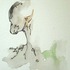 20111114090201-mushroomiii