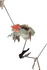 20111114101035-akel_new-works028