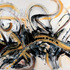 20111115170056-crop2613