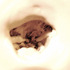 20111117105624-6_alivan_cleft