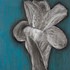 20111117200734-mrs_dalloway_flowerseriesii30x41inches_2006_pastel_monoprint