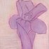20111117201107-mrs_dalloway_flower_seriesi_30x41inches_2006_pastel_monoprint
