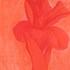 20111117201257-mrs_dalloway_flower_series_orange_lg_flower