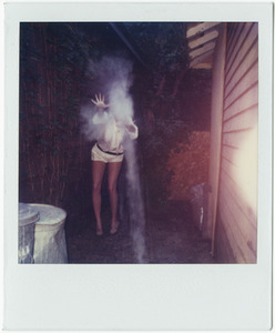 20111117205018-rwhitman_polaroid
