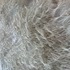 20111119121636-img_0361