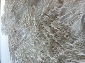 20111119121636-img_0361