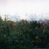 20111119162658-green_pathway__360