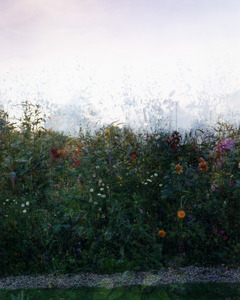 20111119162658-green_pathway__360
