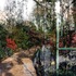 20111119163358-trellis-