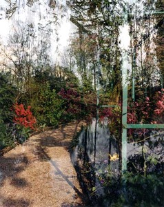 20111119163358-trellis-