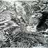 20111120143805-ott-2_inkweb