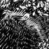 20111120144614-ott-3_inkdtlweb