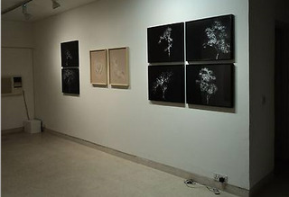 Installation View,Rohini Devasher