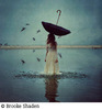 20111121080845-asp_shaden_migration