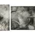 20111121115003-sarah_-_bird_strike_-_intaglio_-_9x18_-