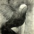 20111121115122-sarah_-_myth_-_charcoal_on_paper_collage_-_22x30