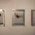 20111121141706-hammerfriar-13