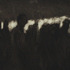 20111121234022-015_copy