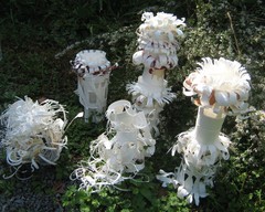 Evamantell-coffeecups08