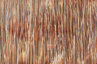SKIN #4,Diane Bush