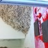 20111123124439-img_2215