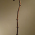 20111123125425-bad_acrobat