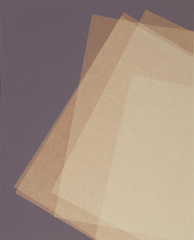 Five Sheets of Thin Paper,Phil Chang