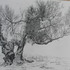 20111124122112-6-24-2006_1-53-09_am_-_p6240027