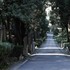 20111124200633-theinadequate1-400x283
