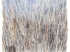 20111125060054-breda16