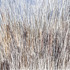 20111125060054-breda16